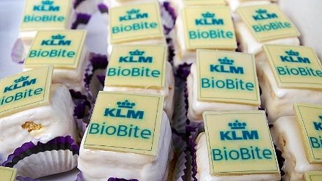 KLM markerer  "Bio2Rio" , den første transatlantiske passasjerflyvning på biobrensel